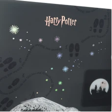Папка-куточок з клапаном А4, HP25-248-2 Harry Potter