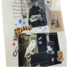 Папка-куточок з клапаном А4, HP25-248-1 Harry Potter
