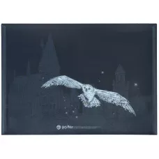 Папка на кнопці А4, HP25-244-2 Harry Potter