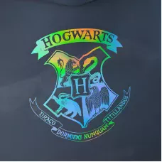 Папка на кнопці А4, HP25-244-2 Harry Potter