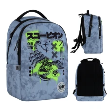 Рюкзак GoPack Teens GO26-135M-5