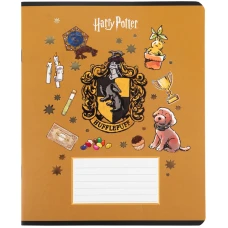 Зошит 12 арк., клітинка, фольга + УФ лак, Harry Potter HP26-232 Kite