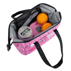 Сумка для ланчу HK26-2709-2 Hello Kitty