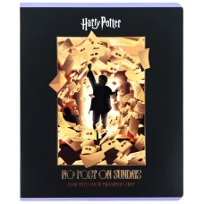 Зошит 48 арк., клітинка, фольга + УФ лак, Harry Potter HP26-259 Kite
