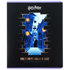 Зошит 48 арк., клітинка, фольга + УФ лак, Harry Potter HP26-259 Kite