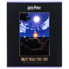 Зошит 48 арк., клітинка, фольга + УФ лак, Harry Potter HP26-259 Kite