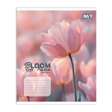 Зошит А5/24 арк лінія YES Bloom or fade, 768875