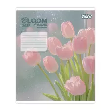Зошит А5/24 арк кліт YES Bloom or fade, 768874
