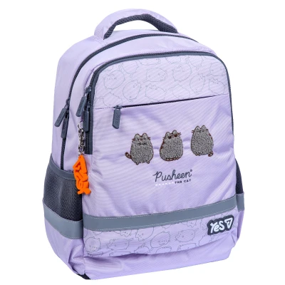 Рюкзак шкільний YES S-52S Ergo Pusheen Delicacy 37х28х15см., 550272