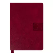 Щоденник діловий А5 Leo Planner датований 2027 