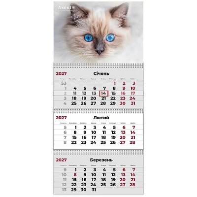 Календар настінний квартальний 2027 р.,3 пр. Cats 2, 8803-27-8-A