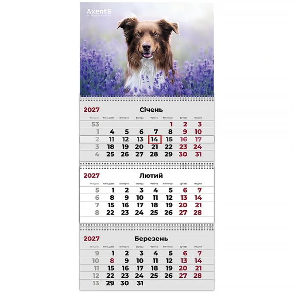 Календар настінний квартальний 2027 р.,3 пр. Dogs 1, 8803-27-10-A