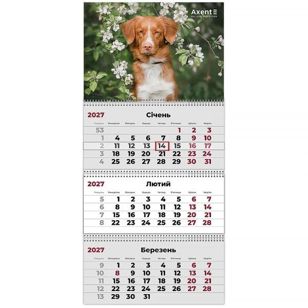 Календар настінний квартальний 2027 р.,3 пр. Dogs 2, 8803-27-11-A