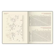 Тижневик недат. А4 (203х260), 80 арк., лінія, кремові, обкл.шт.шк. Nebraska, зелений, 251/1 2140