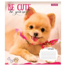 Зошит А5/18 арк лінія 1В Be cute, 766978
