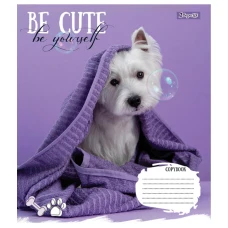 Зошит А5/18 арк лінія 1В Be cute, 766978
