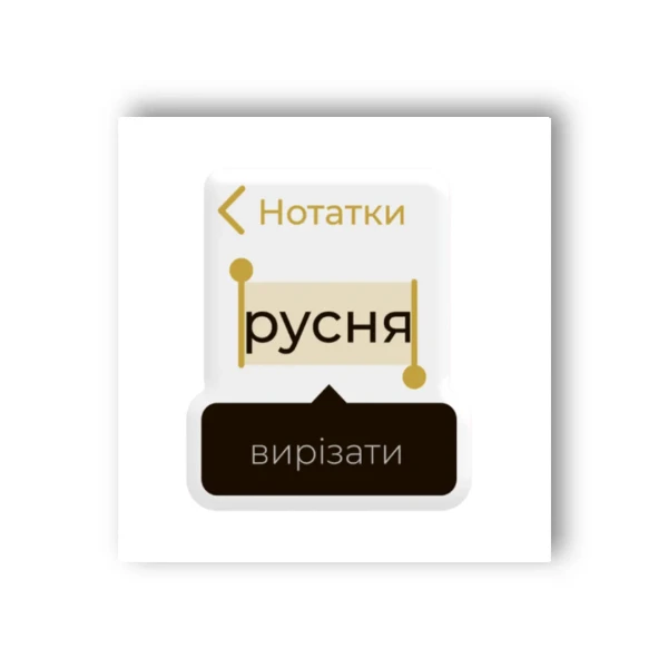 Наліпки 3D-стікер "Мрія українця" SX-16 Tattooshka