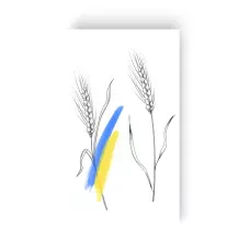 Тимчасове тату набір 