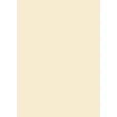 Папір для дизайну Tintedpaper А4 (21*29,7см), №08 бежевий, 130г/м2, без текстури, Folia