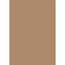 Папір для дизайну Tintedpaper А4 (21*29,7см), №75 насичено-коричневий, 130г/м2, без текстури, Folia