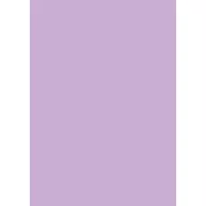 Папір для дизайну Tintedpaper А4 (21*29,7см), №31 блідо-ліловий, 130г/м2, без текстури, Folia