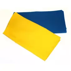 Прапор України синьо-жовтий 90*135см.атлас з тризубом і бахромою П-6Ат б