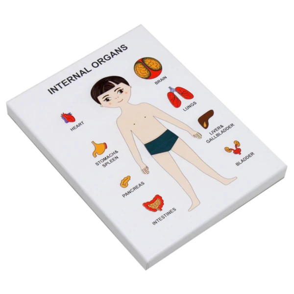 Пазли навчальні Internal Organs Strateg 30349