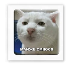 Наліпки 3D-стікер "Майже сміюся" SX-116 Tattooshka