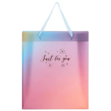 Пакет пластиковий подарунковий 32х27см, Just for you-2, 8504-38-A