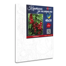 Картина за номерами "Смородина" 40х50см., 954799 Santi