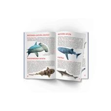 Світ навколо нас. Велика книжка. Акули.16 с. Кристал Бук