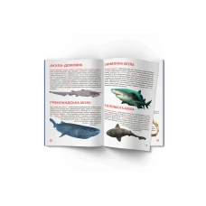 Світ навколо нас. Велика книжка. Акули.16 с. Кристал Бук