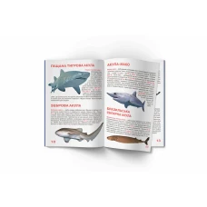 Світ навколо нас. Велика книжка. Акули.16 с. Кристал Бук