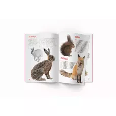 Світ навколо нас. Велика книжка. Дикі тварини..16 с. Кристал Бук
