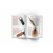 Світ навколо нас. Велика книжка. Жуки. 16 с. Кристал Бук