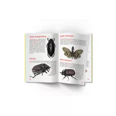 Світ навколо нас. Велика книжка. Жуки. 16 с. Кристал Бук