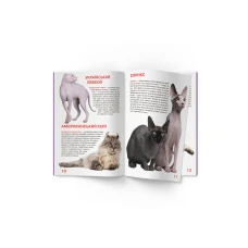 Світ навколо нас. Велика книжка. Кішки. 16 с. Кристал Бук