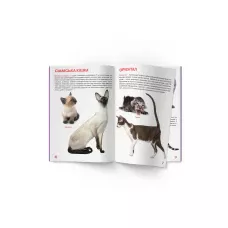 Світ навколо нас. Велика книжка. Кішки. 16 с. Кристал Бук