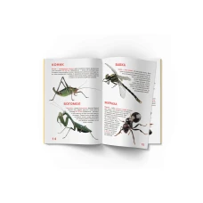 Світ навколо нас. Велика книжка. Комахи. 16 с. Кристал Бук