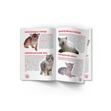 Світ навколо нас. Велика книжка. Кошенята. 16 с. Кристал Бук