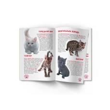 Світ навколо нас. Велика книжка. Кошенята. 16 с. Кристал Бук