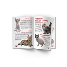 Світ навколо нас. Велика книжка. Кошенята. 16 с. Кристал Бук