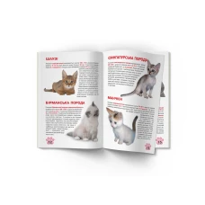 Світ навколо нас. Велика книжка. Кошенята. 16 с. Кристал Бук