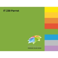 Папір кольоровий Spectra Color А4 160г/м2, 250 арк. інтенсив Parrot 230, зелений