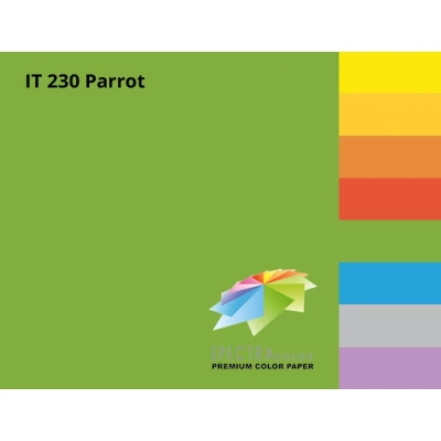 Папір кольоровий Spectra Color А4 160г/м2, 250 арк. інтенсив Parrot 230, зелений