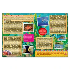 Підводний світ. Дитяча енциклопедія. (блакитна) укл. Карпенко Ю.М. 128 с. Глорія