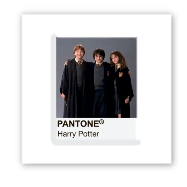 Наліпки 3D-стікер "Pantone Potter 2" SX-264 Tattooshkaі