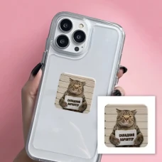 Наліпки 3D-стікер "Складний характер" SX-219 Tattooshka