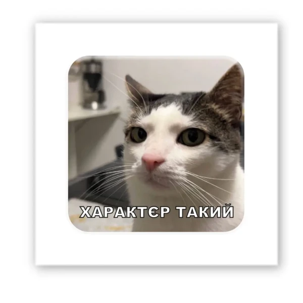 Наліпки 3D-стікер "Характєр такий" SX-221 Tattooshka