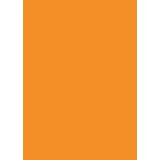 Папір для дизайну Tintedpaper А4 (21*29,7см), №17 охра, 130г/м2, без текстури, Folia